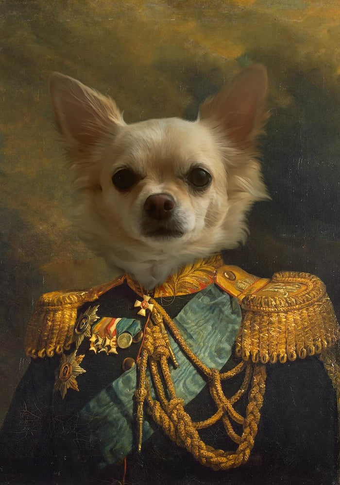 chihuahua