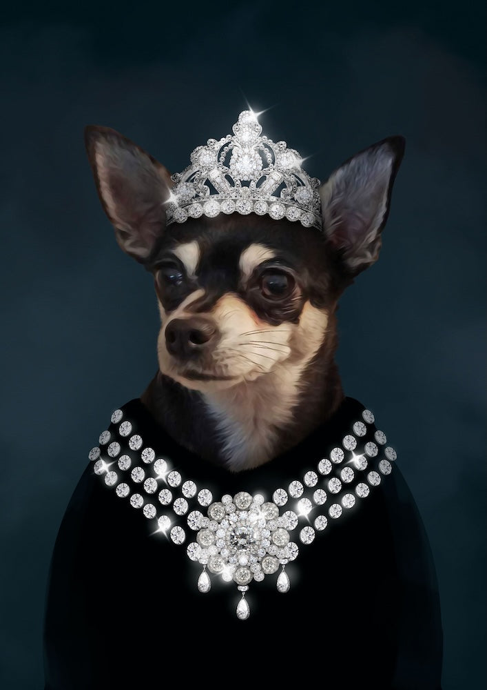 chihuahua