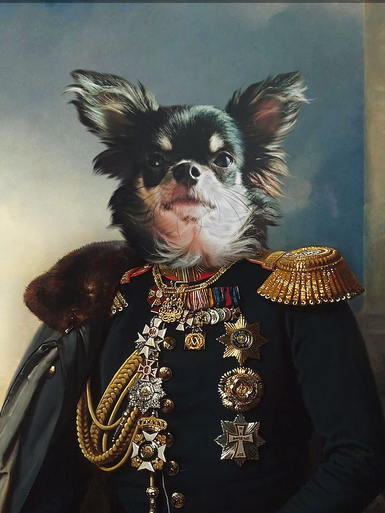 chihuahua