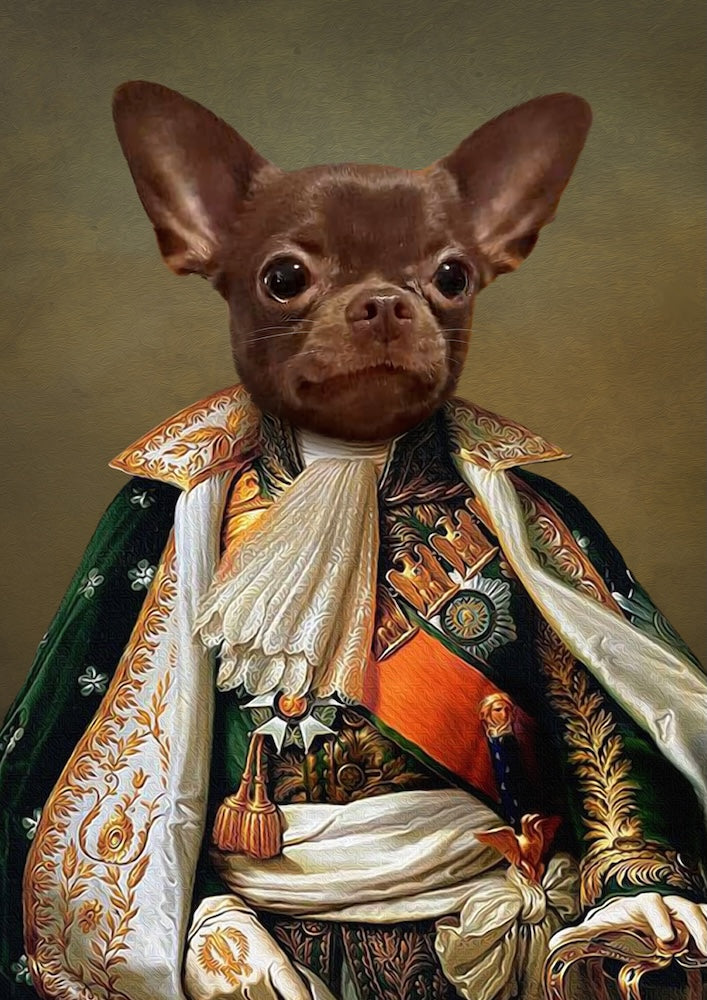 chihuahua