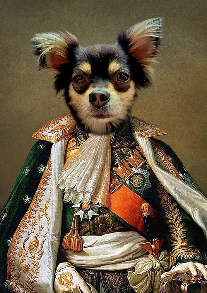 chihuahua