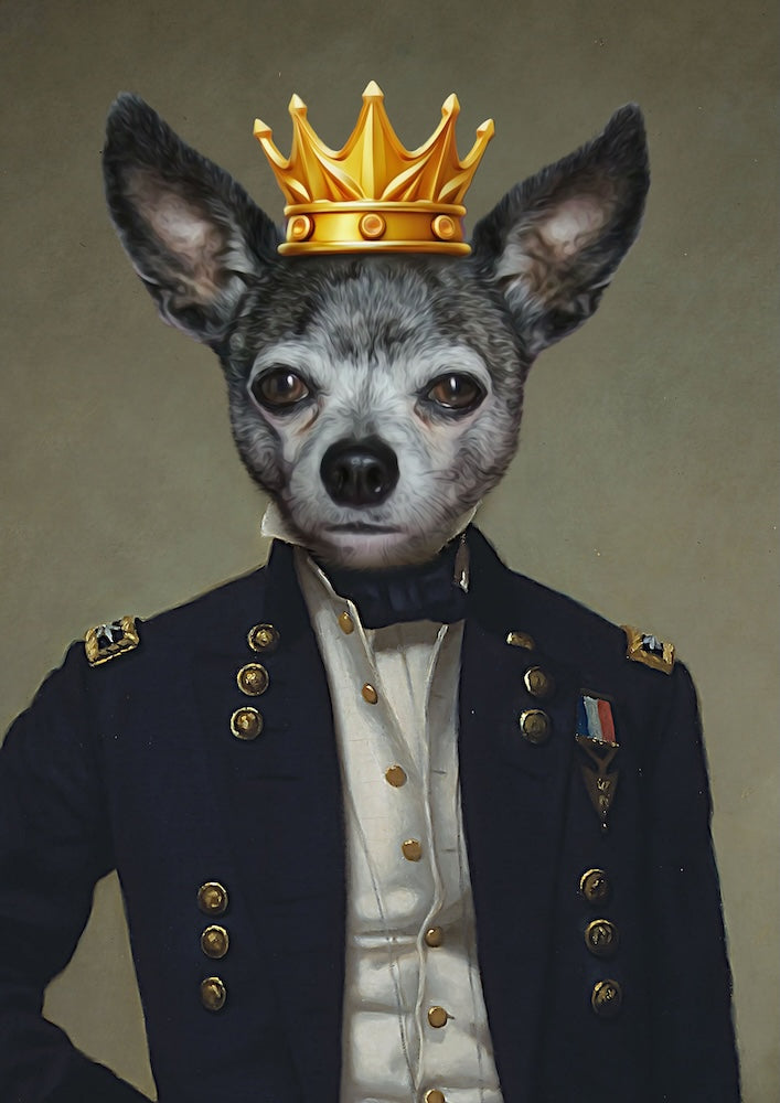 chihuahua