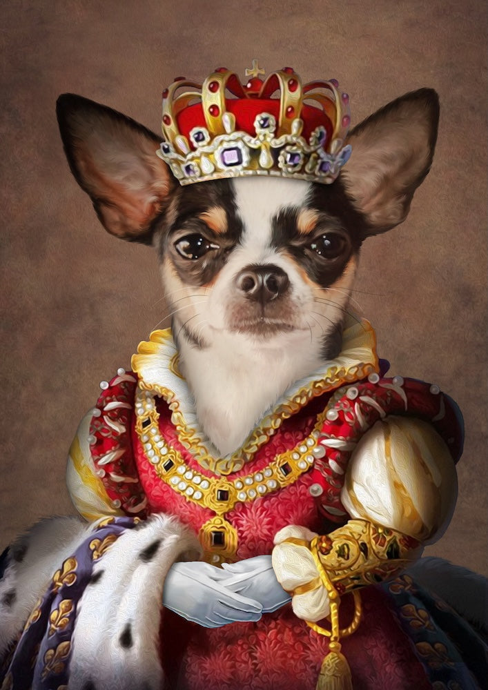 chihuahua