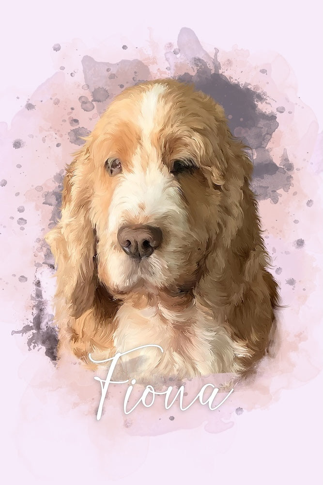 cocker