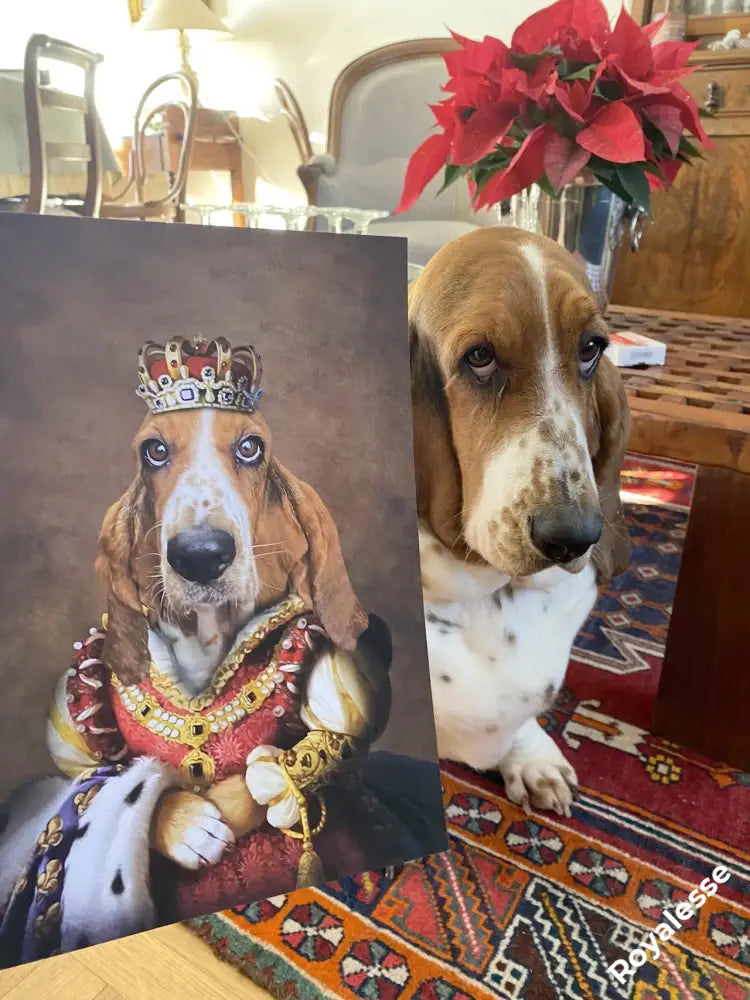 Chien posant à côté d'un portrait royal personnalisé, imprimé sur papier FSC en France, sur un tapis coloré.