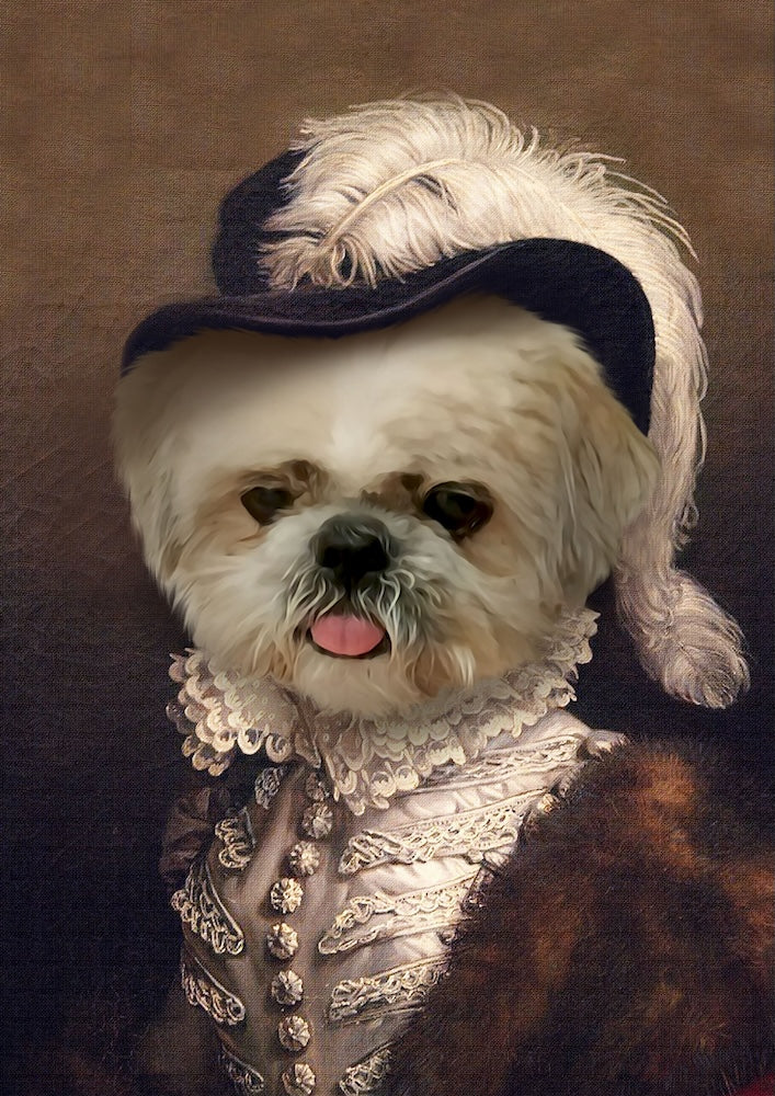 shih-tzu