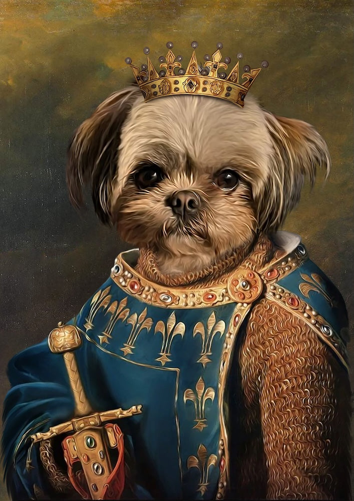 shih-tzu